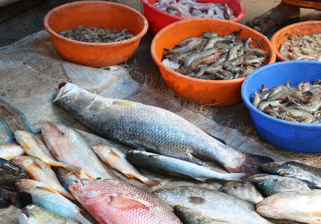 魚露店